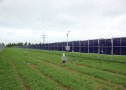 Fünf Messstationen für die mikroklimatischen Untersuchungen mit Sensoren für die Niederschlags- und Windmessung und Erfassung der Temperatur- und Luftfeuchtigkeit, photosynthetisch wirksamen Strahlung und Blattfeuchte.
